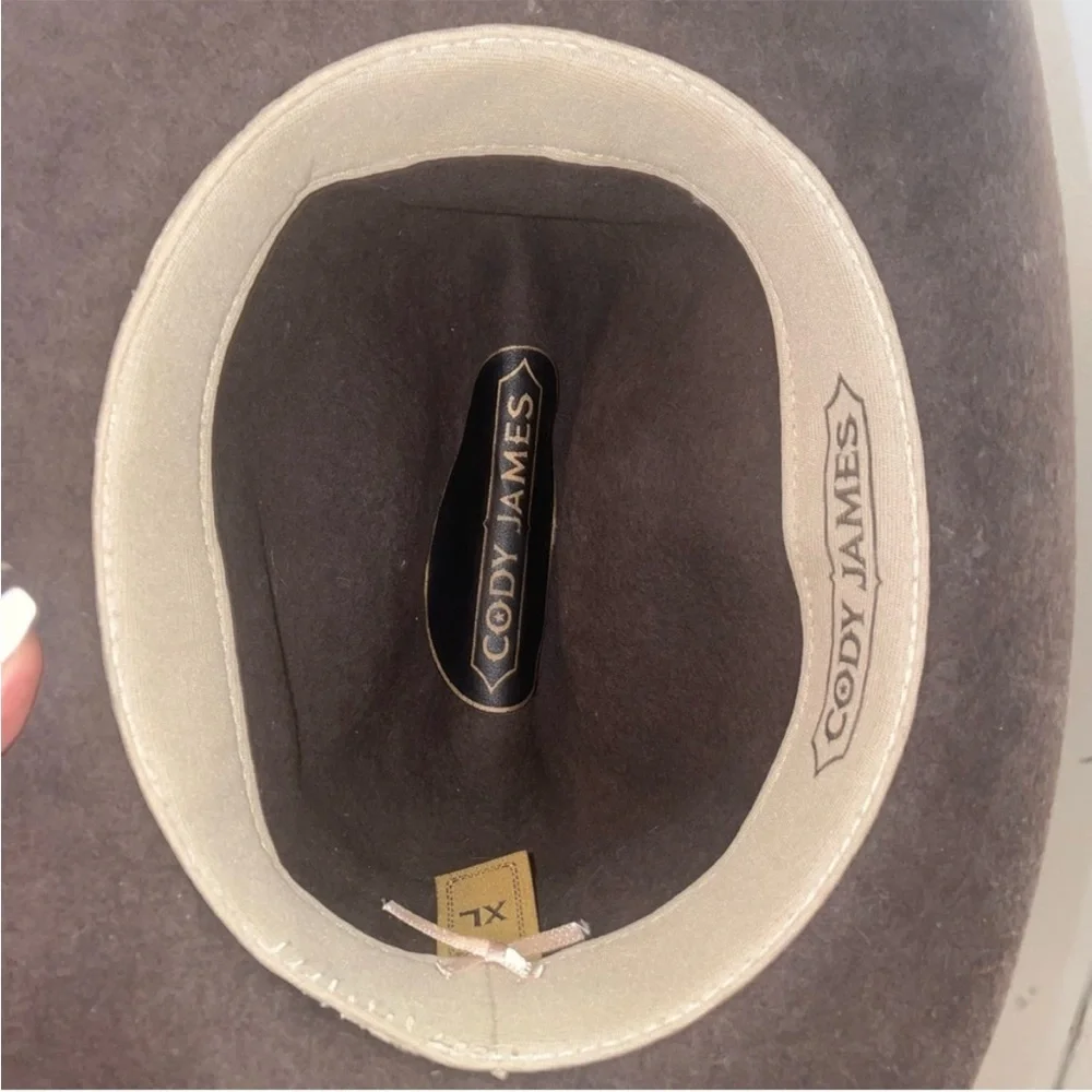 Brown Wide-Brimmed Fedora Hat - Picture 4 of 5